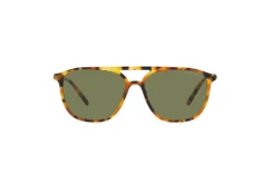 Giorgio Armani AR 8179 54822A 5 Giorgio Armani AR 8179 54822A -Prada || Oakley || Vogue Eyewear Shop Giorgio Armani AR8179 54822A d000