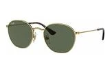 Ray-Ban Junior JUNIOR ROB RJ 9572S 223/71