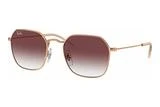 Ray-Ban Junior RJ 9594S 291/8H