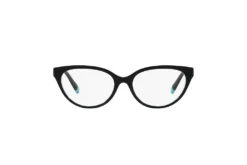 Tiffany TF 2226 8055 -Prada || Oakley || Vogue Eyewear Shop Tiffany TF2226 8055 d000