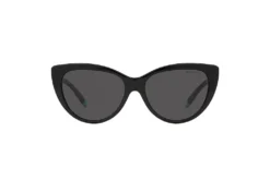 Tiffany TF 4196 8001S4 -Prada || Oakley || Vogue Eyewear Shop Tiffany TF4196 8001S4 d000